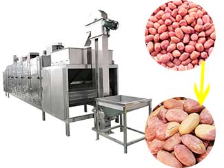 Onion Cutting Machine-Everfit Food Machine