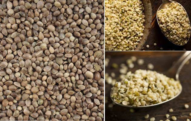 hemp seeds