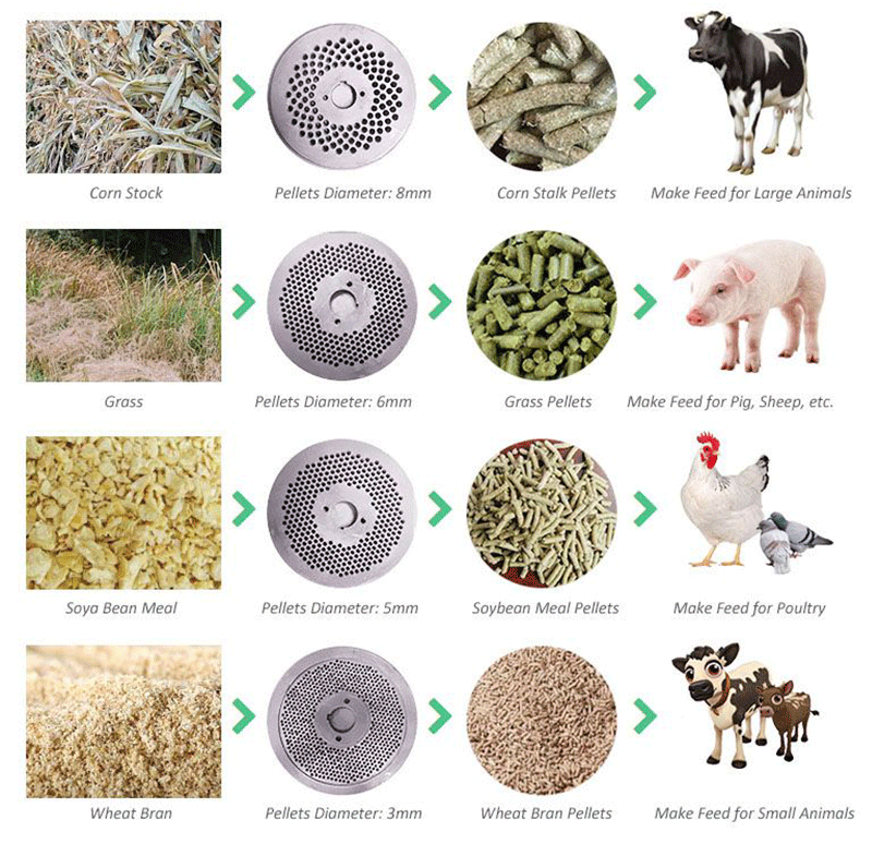 Pellet feed 