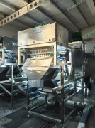 AI Sorting Machines: The Revolutionary Beacon for the Hawaiian Coffee Industry