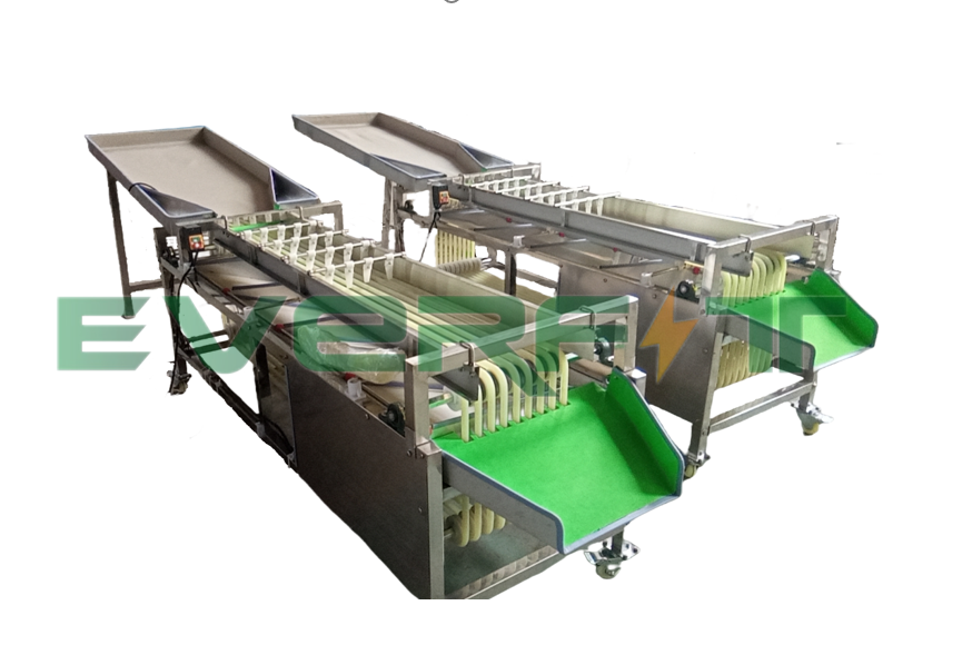 Date fruit picking machine 