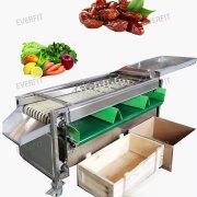  How Much Does A Date Sorting Machine Cost In Iraq？