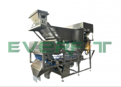  Saudi Arabia Introduces Date Palm Sorting Machine