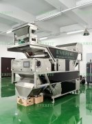 Everfit AI Date Sorting Machine