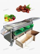 How Much Does The Size Sorting Machine Cost In Iraq